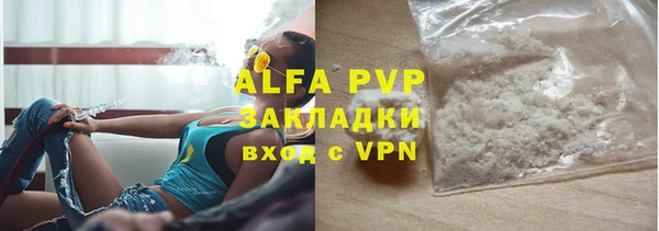 индика Богданович