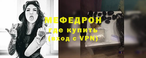 индика Богданович