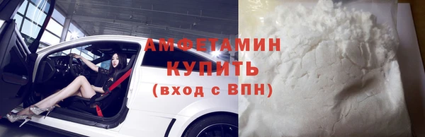 индика Богданович