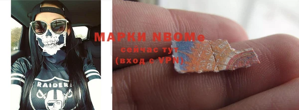 индика Богданович