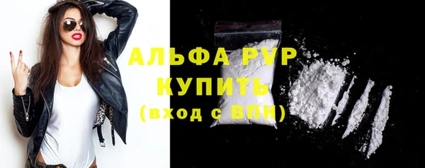 индика Богданович