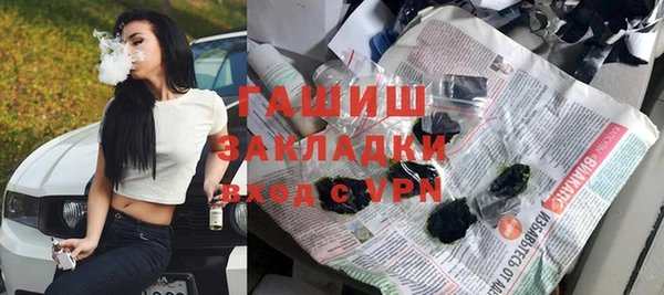 индика Богданович
