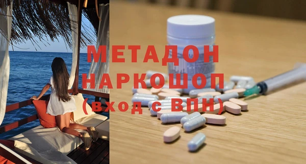 индика Богданович