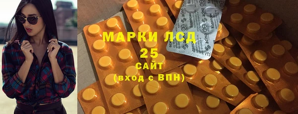 индика Богданович