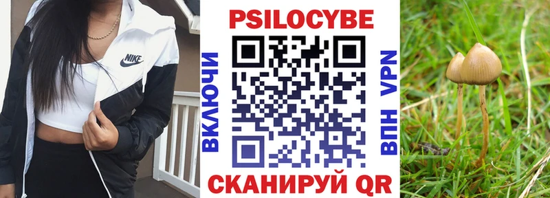 Псилоцибиновые грибы GOLDEN TEACHER  Купить где  Минеральные Воды 