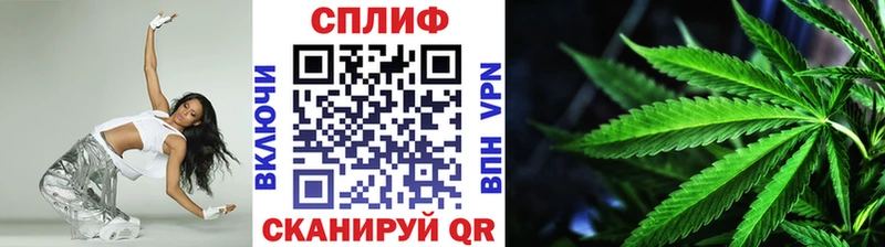 Бошки Шишки сатива  Купить  Минеральные Воды 